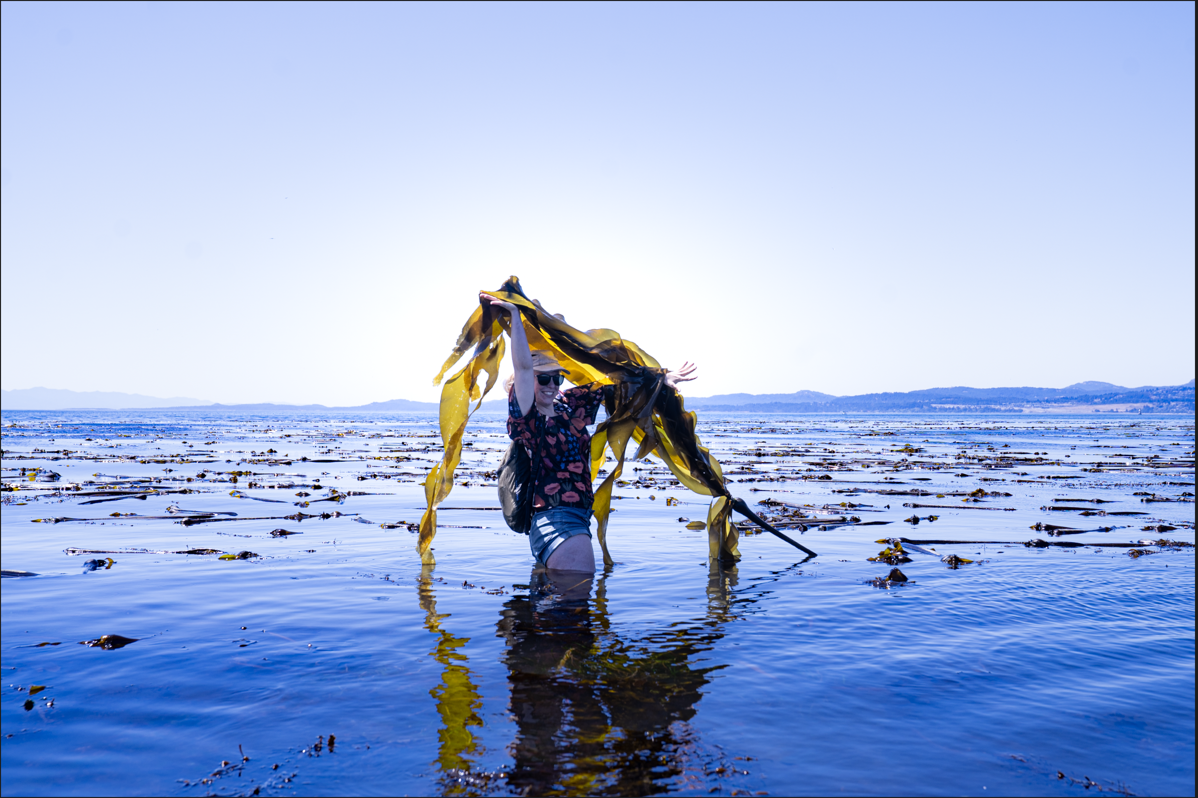 Seaweed Biologist holding seaweed